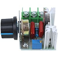 SODIAL(R) Regulador de voltaje de velocidad SCR 2000W AC 220V